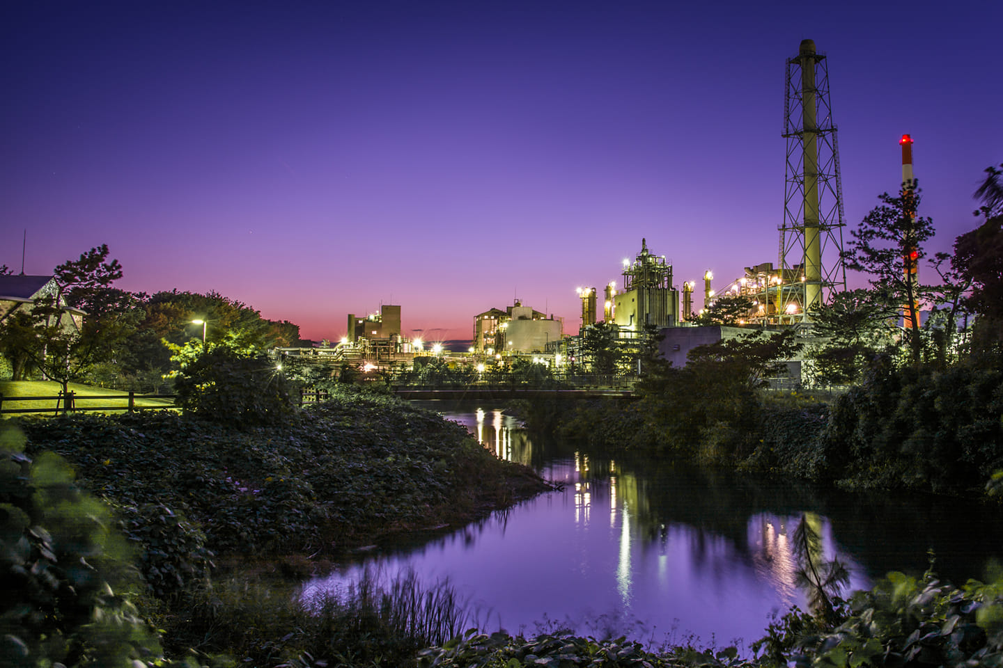 フォトコンテスト